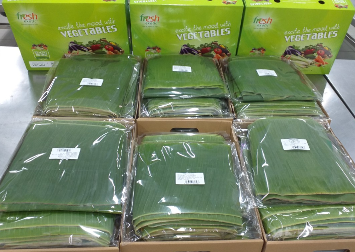 Banana leaves - Thinh An Exotic Fruit Co.,ltd